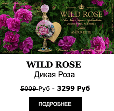 Эксклюзивные Масляные Духи Amour Elite Wild Rose - Дикая Роза Абсолют. Цветочный аромат.
