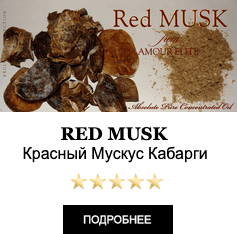 ЭлитныеМасляные духи Amour Elite Red MUSK - Красный Мускус Кабарги Абсолют.