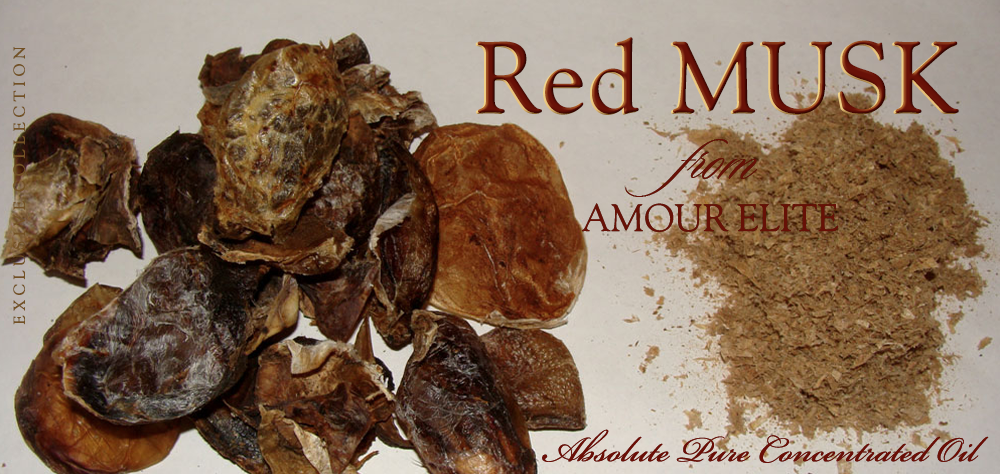 Масляные духи Amour Elite Red MUSK - Красный Мускус Кабарги Абсолют. Мускусный аромат.